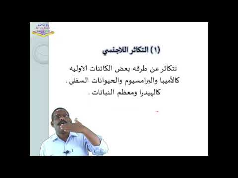 التكاثر في الكائنات الحية